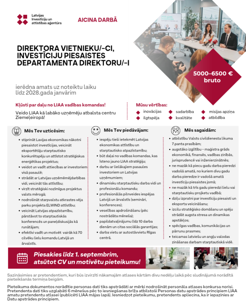 LIAA direktora vietnieks/-ce, Investīciju piesaistes departamenta direktors/-e