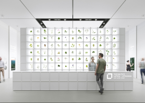 Baltijas paviljona koncepts izstādē "Expo 2025"