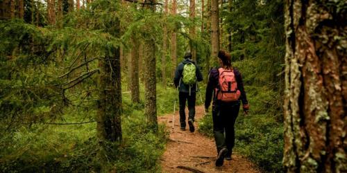 Garās distances pārrobežu pārgājienu maršruts “Mežtaka”