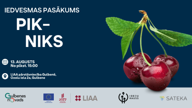 iedvesmas pasākums Pikniks