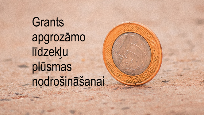 Grants apgrozāmo līdzekļu plūsmas nodrošināšanai
