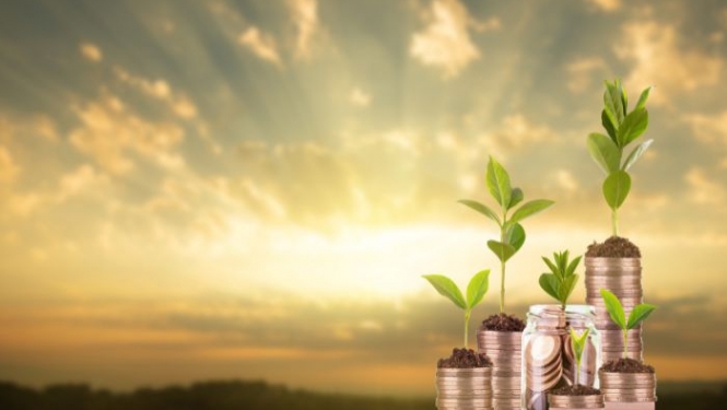 Growing business