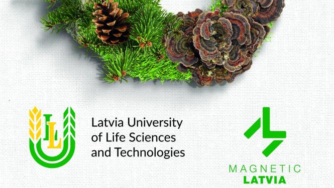 Latvijas Lauksaimniecības universitātes buklets