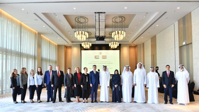 AAE apvienotā komiteja