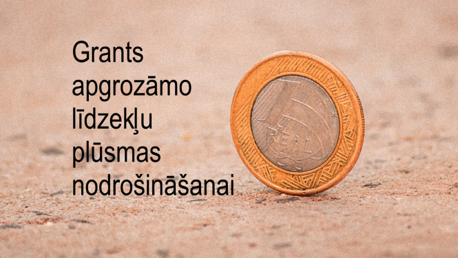 Grants apgrozāmo līdzekļu plūsmas nodrošināšanai