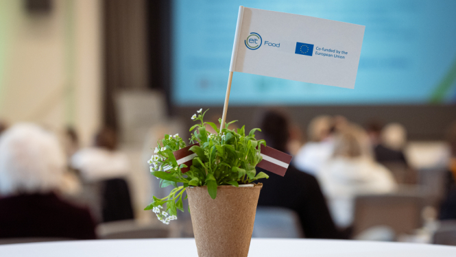 Ilustratīvs attēls