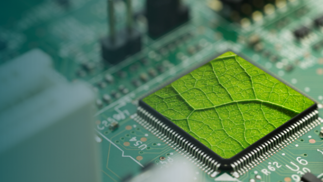 vizuāls attēlojums mikroshēmai ar iestrādātu koka lapu