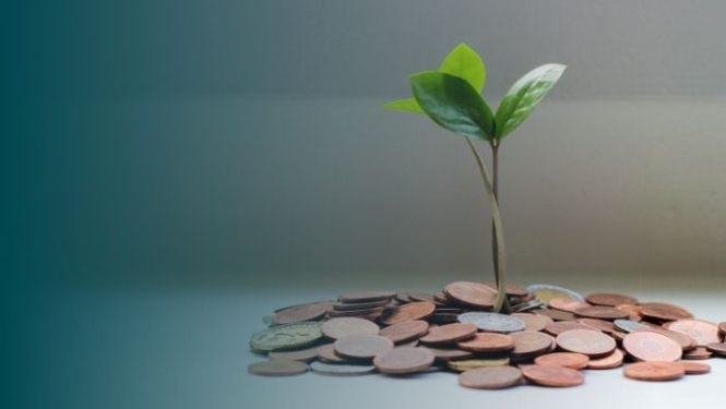 dīkstāves atbalsts