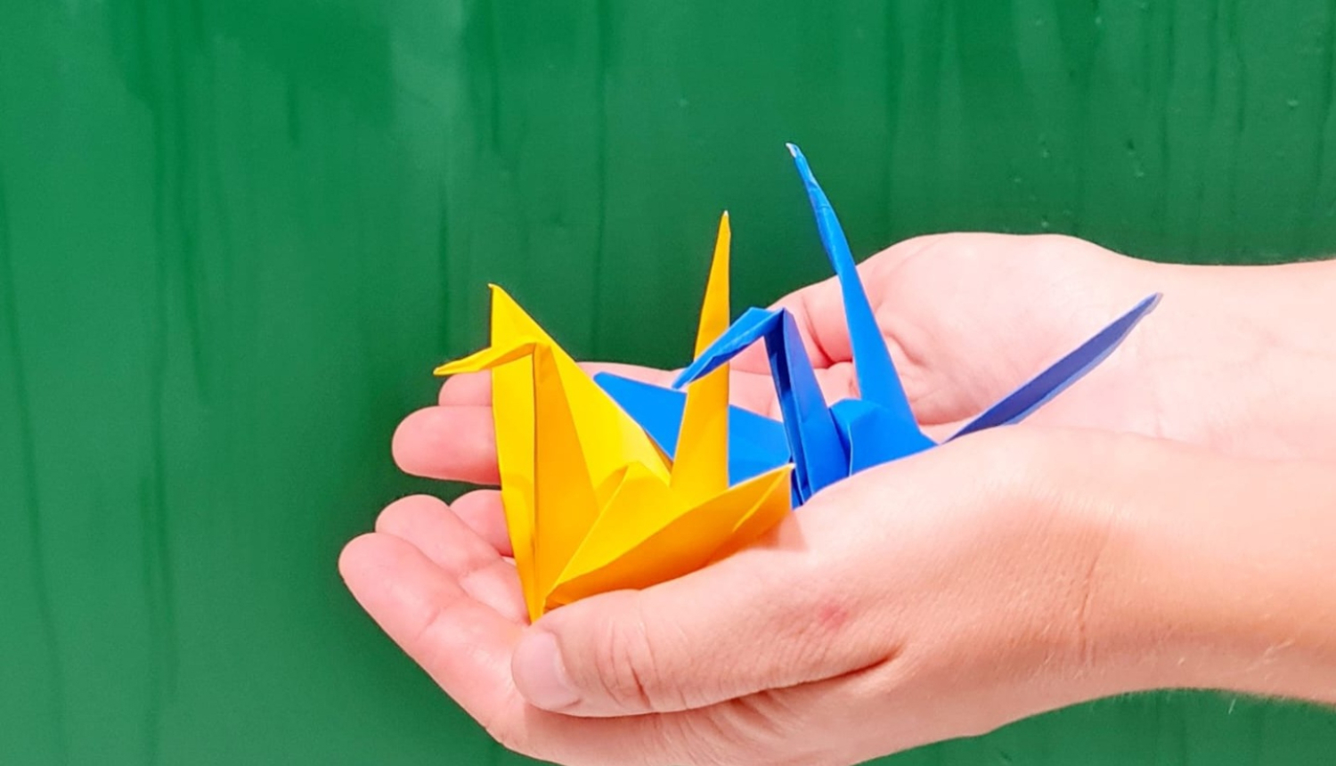 1000 zilas un dzeltenas miera dzērves – Baltijas atbalsts Ukrainai EXPO izstādē Japānā