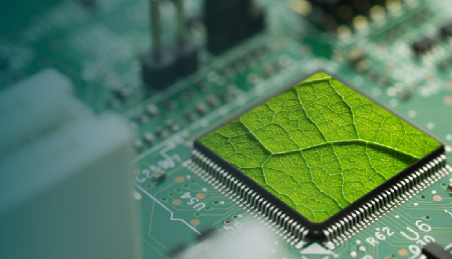 vizuāls attēlojums mikroshēmai ar iestrādātu koka lapu