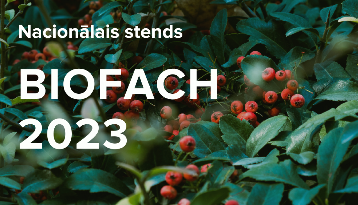 biofach2023